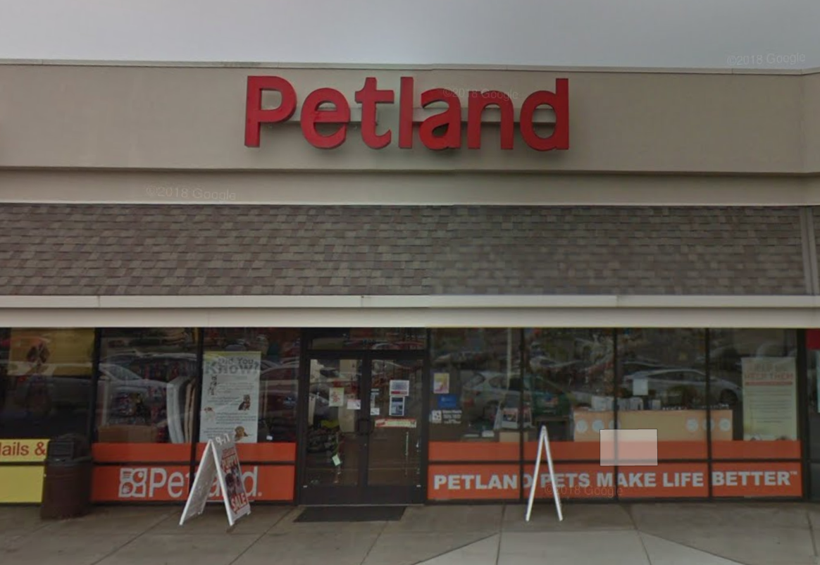 Our Location